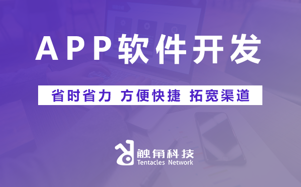 APP软件开发