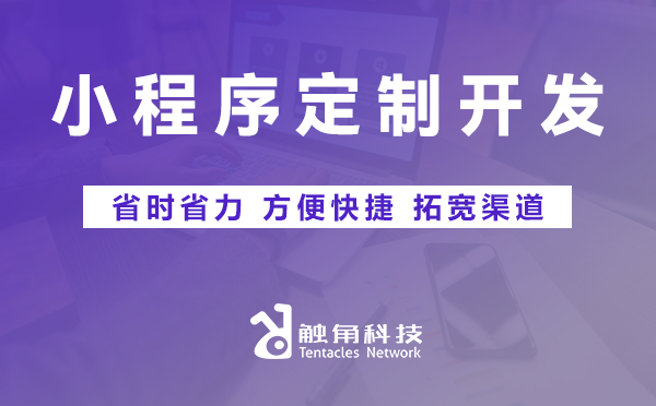小程序定制开发
