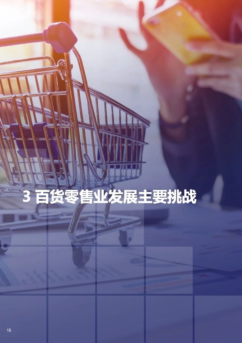 中国百货零售业发展报告16