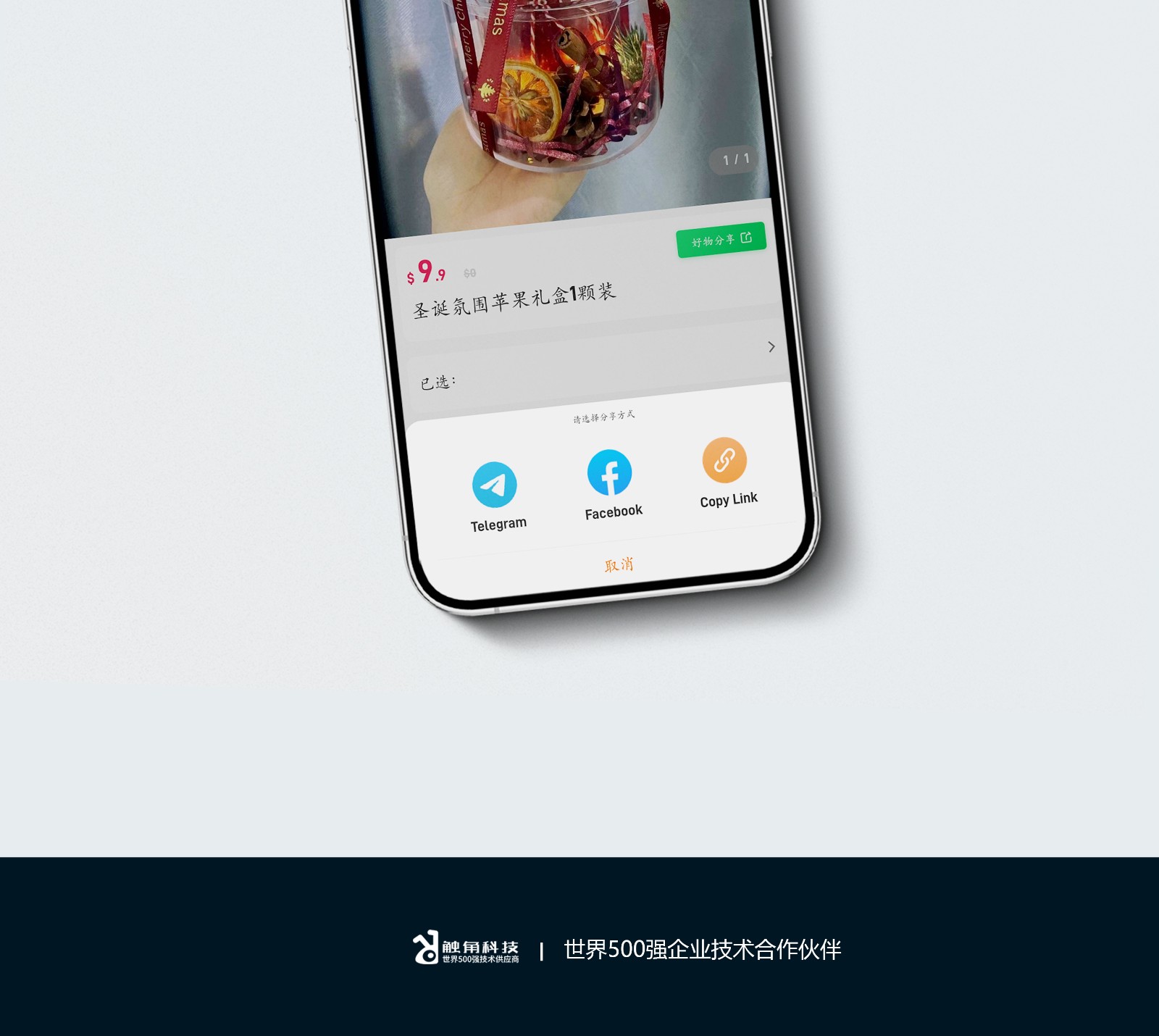 云鲸和官网小程序案例模板(最新)